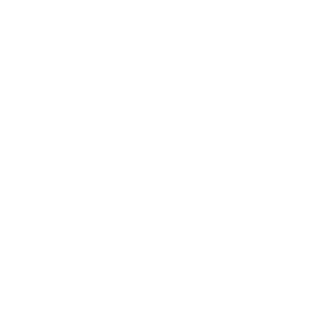 DeepVo 品牌标志