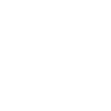 DeepVo 品牌标志